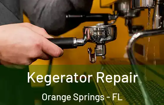  Kegerator Repair Orange Springs - FL