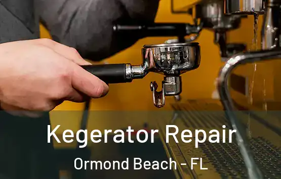  Kegerator Repair Ormond Beach - FL