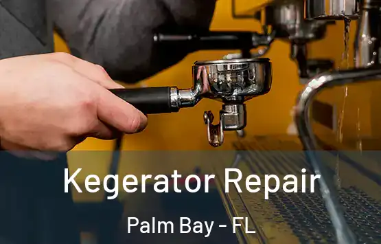  Kegerator Repair Palm Bay - FL