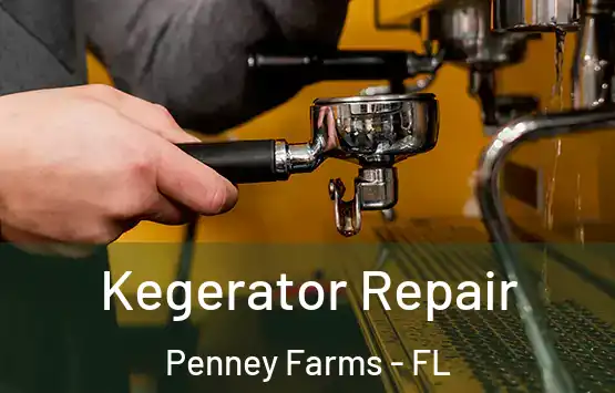  Kegerator Repair Penney Farms - FL