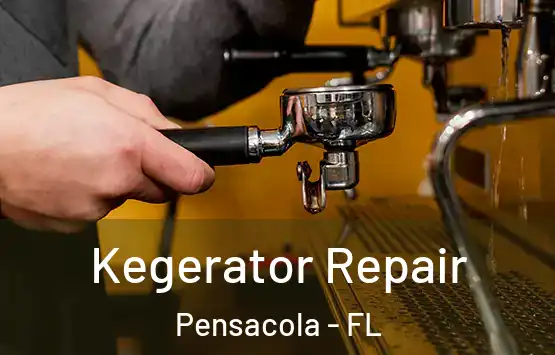  Kegerator Repair Pensacola - FL