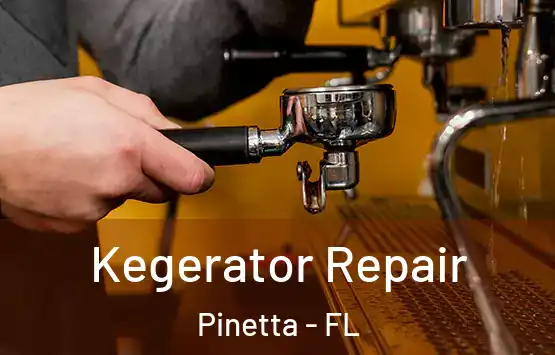  Kegerator Repair Pinetta - FL
