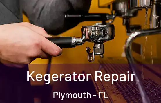  Kegerator Repair Plymouth - FL