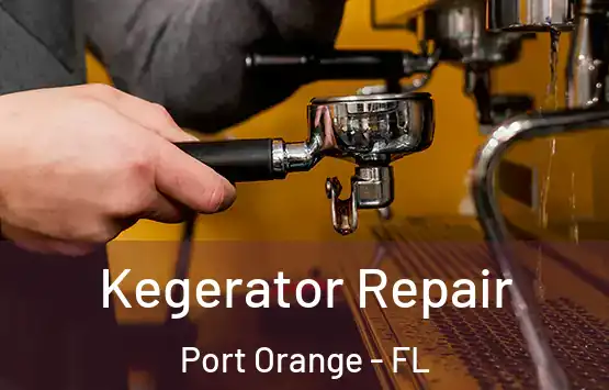  Kegerator Repair Port Orange - FL