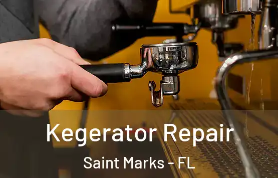  Kegerator Repair Saint Marks - FL