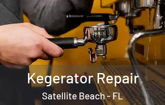  Kegerator Repair Satellite Beach - FL