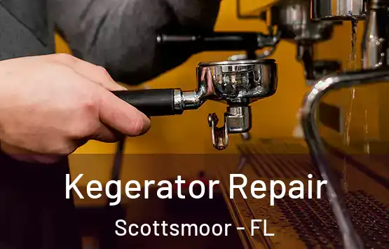  Kegerator Repair Scottsmoor - FL