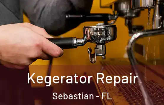  Kegerator Repair Sebastian - FL