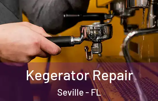  Kegerator Repair Seville - FL