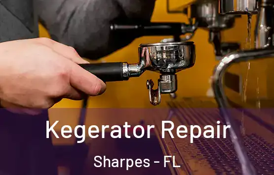  Kegerator Repair Sharpes - FL