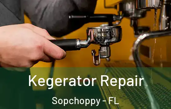  Kegerator Repair Sopchoppy - FL