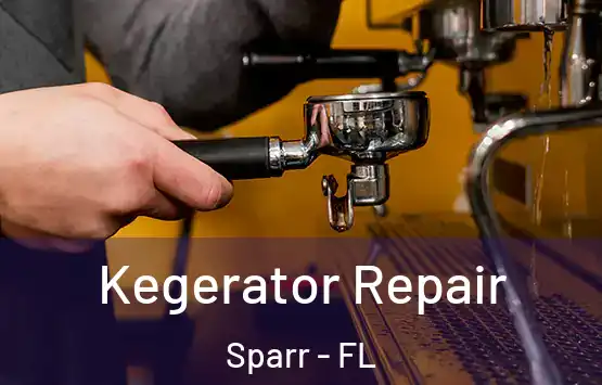  Kegerator Repair Sparr - FL