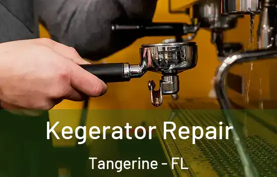  Kegerator Repair Tangerine - FL