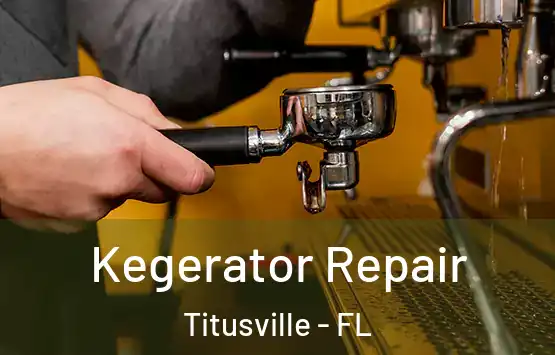 Kegerator Repair Titusville - FL