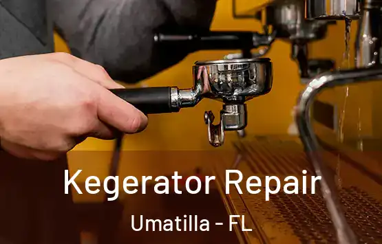  Kegerator Repair Umatilla - FL