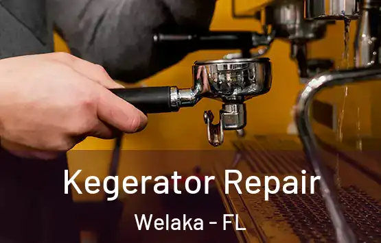  Kegerator Repair Welaka - FL