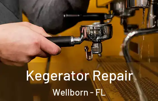  Kegerator Repair Wellborn - FL