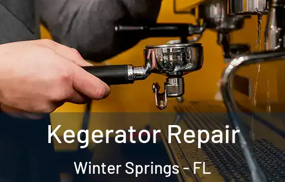  Kegerator Repair Winter Springs - FL