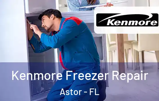  Kenmore Freezer Repair Astor - FL