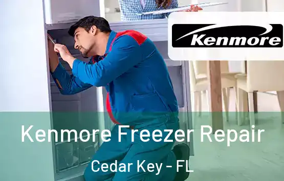  Kenmore Freezer Repair Cedar Key - FL