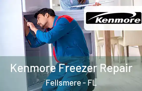  Kenmore Freezer Repair Fellsmere - FL
