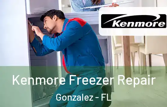  Kenmore Freezer Repair Gonzalez - FL