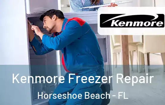  Kenmore Freezer Repair Horseshoe Beach - FL