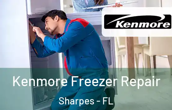 Kenmore Freezer Repair Sharpes - FL