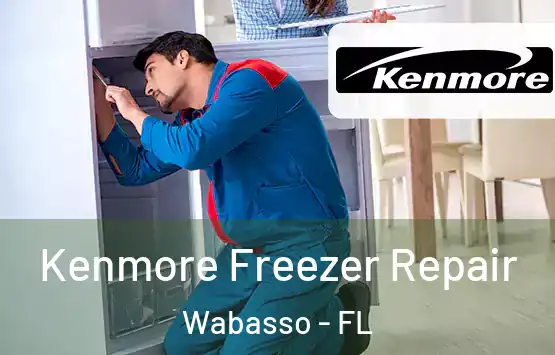  Kenmore Freezer Repair Wabasso - FL