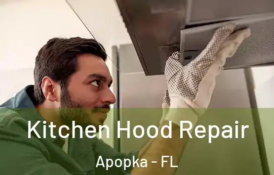  Kitchen Hood Repair Apopka - FL