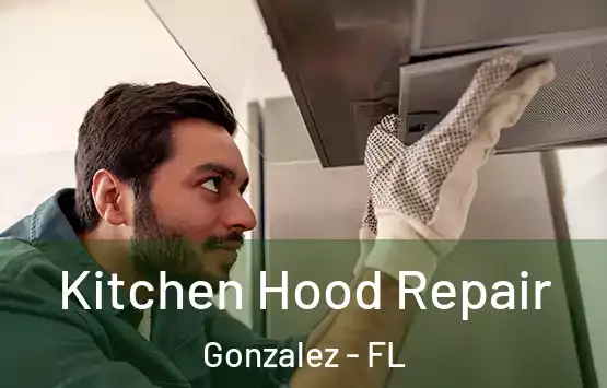  Kitchen Hood Repair Gonzalez - FL