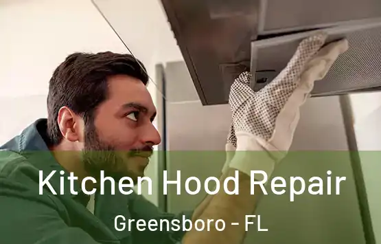  Kitchen Hood Repair Greensboro - FL