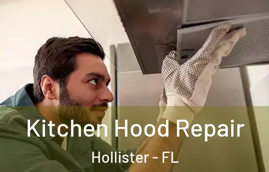  Kitchen Hood Repair Hollister - FL