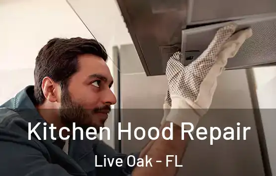  Kitchen Hood Repair Live Oak - FL