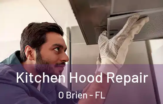  Kitchen Hood Repair O Brien - FL