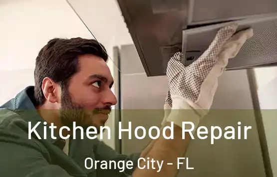  Kitchen Hood Repair Orange City - FL