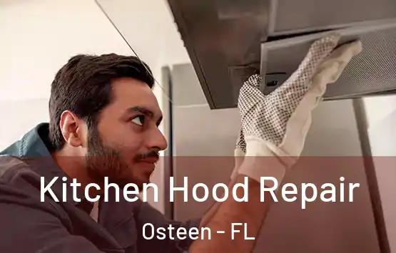  Kitchen Hood Repair Osteen - FL