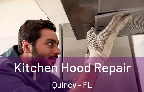  Kitchen Hood Repair Quincy - FL