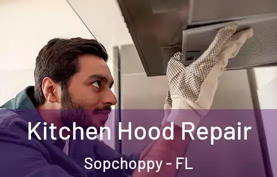  Kitchen Hood Repair Sopchoppy - FL