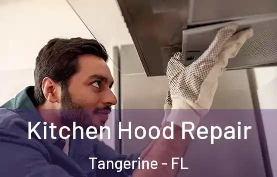  Kitchen Hood Repair Tangerine - FL