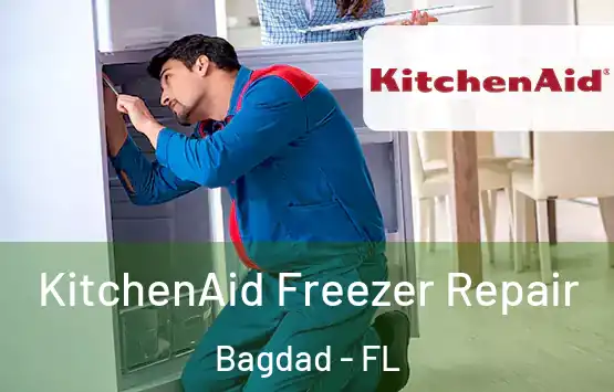  KitchenAid Freezer Repair Bagdad - FL