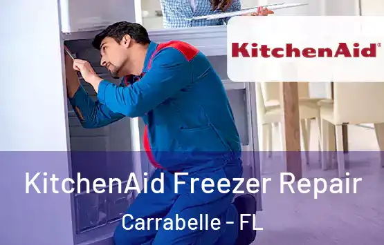  KitchenAid Freezer Repair Carrabelle - FL