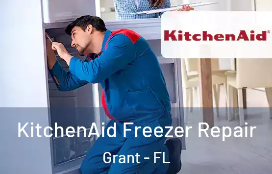  KitchenAid Freezer Repair Grant - FL