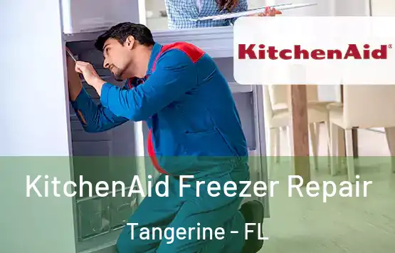  KitchenAid Freezer Repair Tangerine - FL