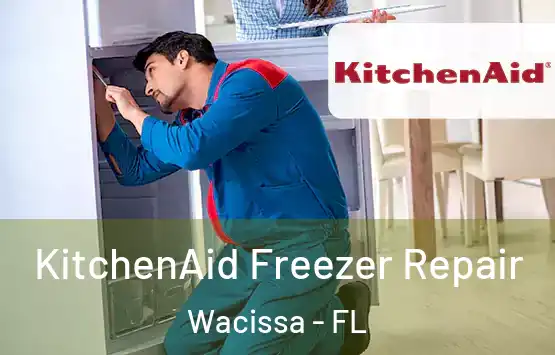  KitchenAid Freezer Repair Wacissa - FL