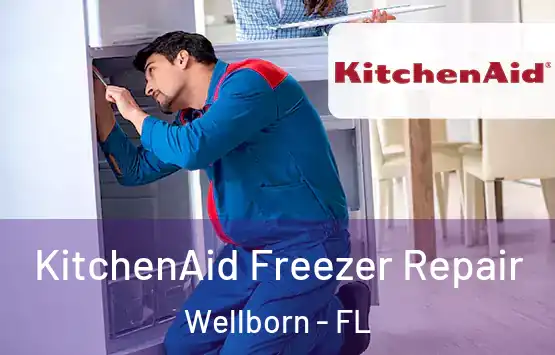  KitchenAid Freezer Repair Wellborn - FL