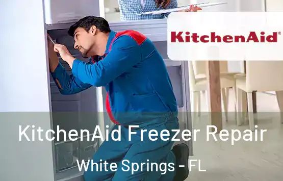  KitchenAid Freezer Repair White Springs - FL