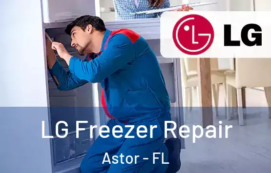  LG Freezer Repair Astor - FL