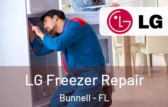 LG Freezer Repair Bunnell - FL
