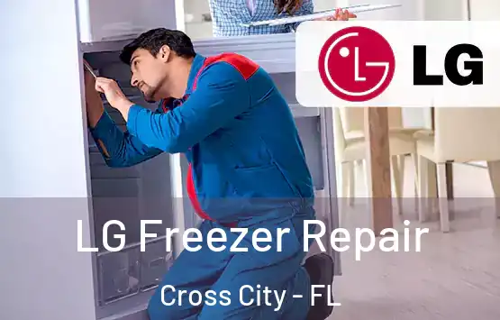  LG Freezer Repair Cross City - FL